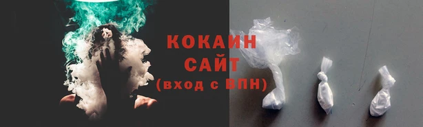 спайс Арсеньев