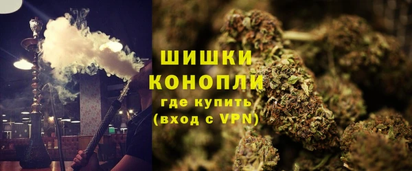 спайс Арсеньев
