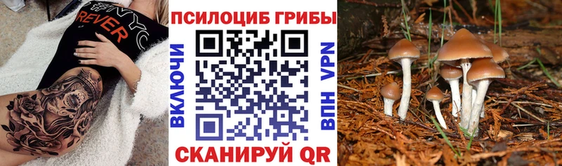 Галлюциногенные грибы MAGIC MUSHROOMS  Купить где  Билибино 